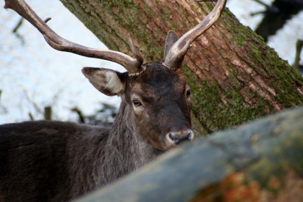 Killikus&reg; Fotographie